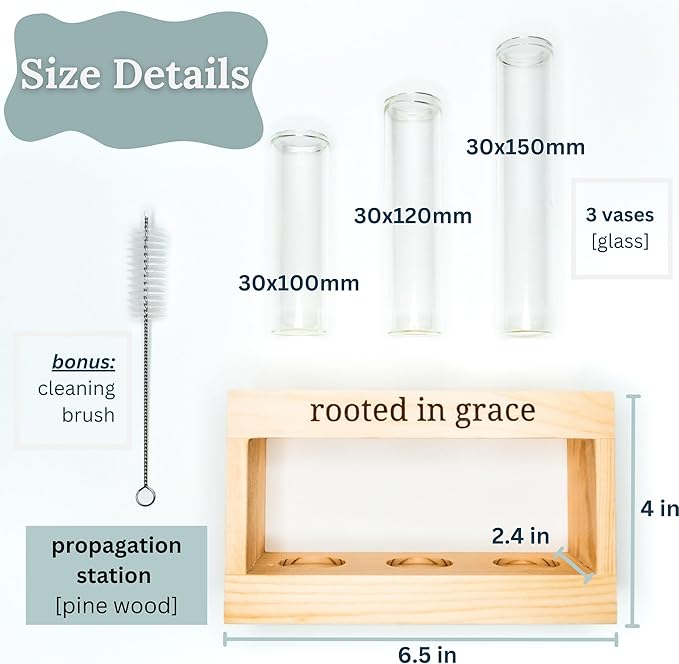 Rooted in Grace: Plant Propagation Stations: Plant Cutting Holder w/ 3 Glass - Image 4