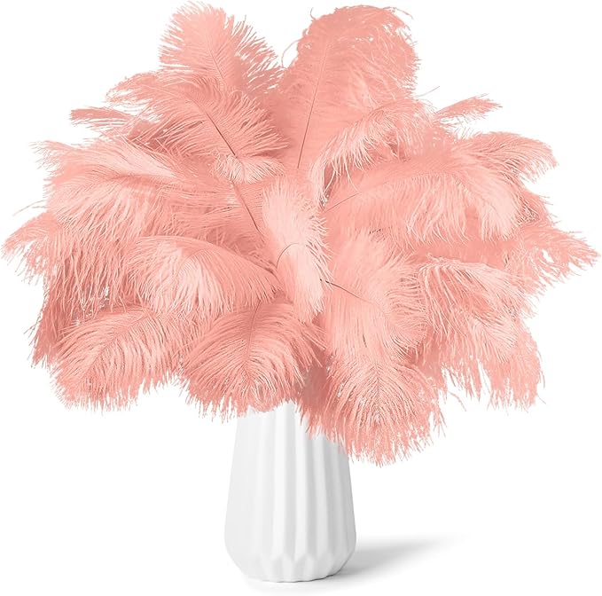 NEWONG 30pcs Rouge Pink Ostrich Feathers Natural Bulk 8-10in（20-25cm） Vase by NEWONG