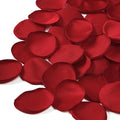 TINGE TIME 200pcs Silk Flower Petals by TINGETIME