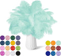 NEWONG 30pcs Mint Green Ostrich Feathers Natural Bulk 11-14inch Vase Craft by NEWONG