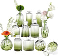 Green Bud Vases Set of 12, Small Vases by PHUNTTEK