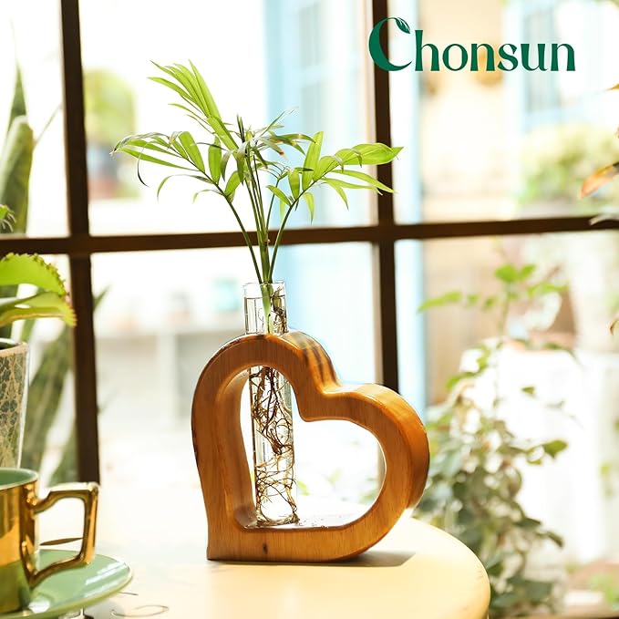 Plant Propagation Stations Plant Terrariums Wall Hanging Planters Plants Stand - Image 4