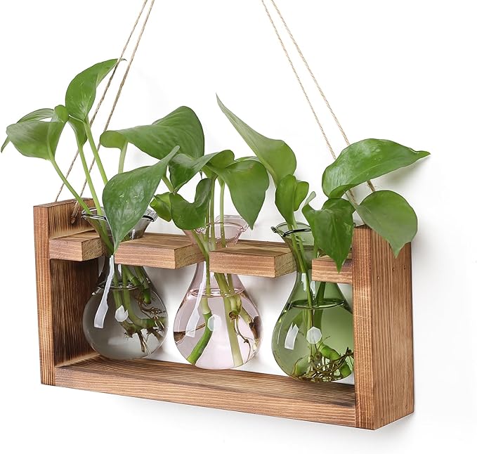 Plant Propagation Station Plant Terrarium Unique Birthday Gifts by Unknown