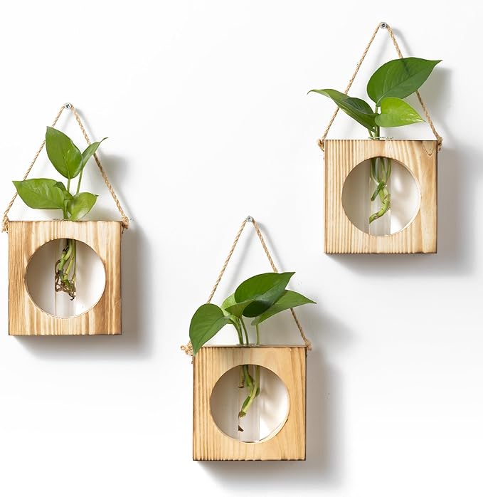· GARDEN REPUBLIC · Propagation Stations Set of 3 by %C2%B7GARDENREPUBLIC%C2%B7