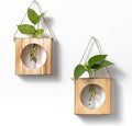 · GARDEN REPUBLIC · Propagation Stations Set of 2 by %C2%B7GARDENREPUBLIC%C2%B7