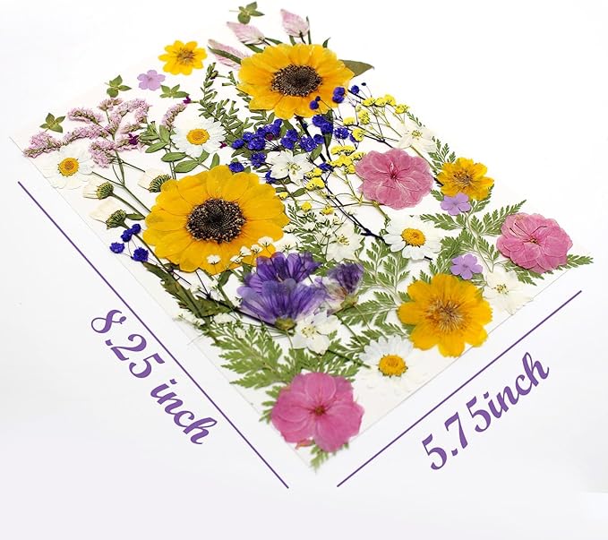 16 Types Boho Dried Pressed Flowers - Image 2