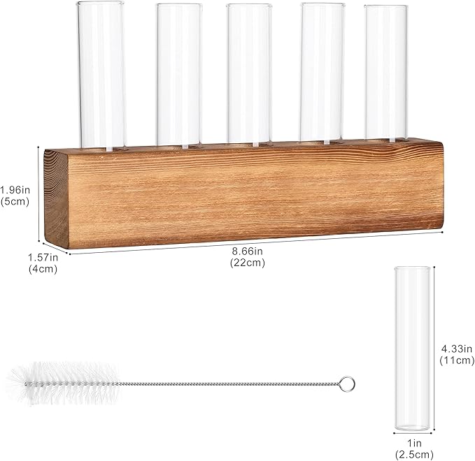 YIBOT Propagation Stations, Plant Terrarium - Image 2