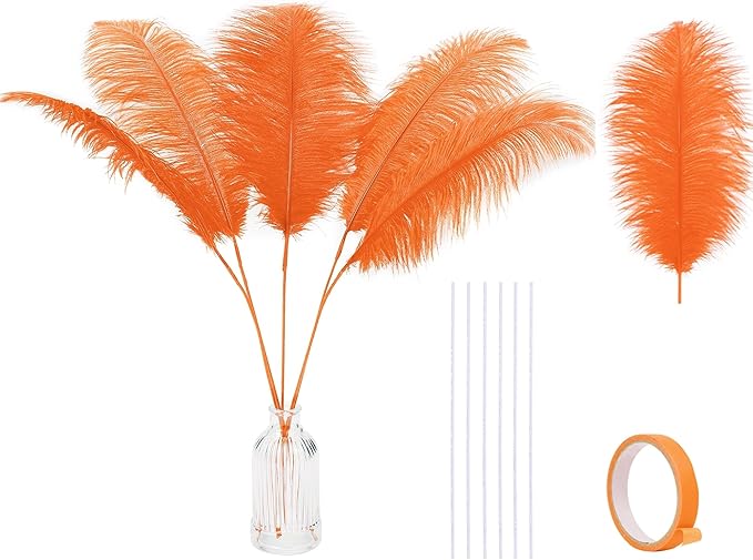 Holmgren Orange Ostrich Feathers Bulk by Holmgren