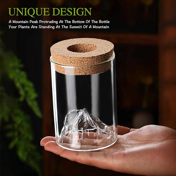 2Pcs Plant Propagation Station - Image 3