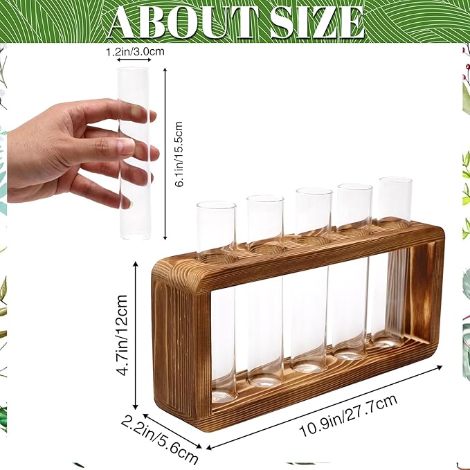 Glass Plant Propagation Station - Image 2