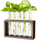 Ivolador Plant Propagation Station Terrariumin Wall Test Tube Vases Bud by IVOLADORI