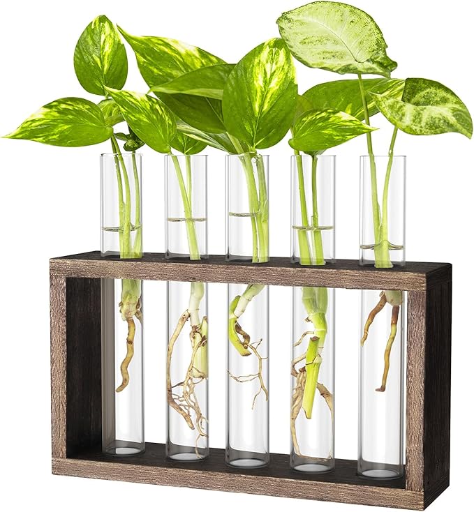 Ivolador Plant Propagation Station Terrariumin Wall Test Tube Vases Bud by IVOLADORI