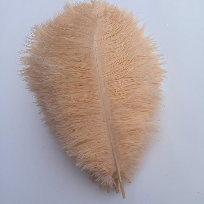 KOLIGHT 40pcs 12''~14'' Natural Ostrich Feathers - Image 3