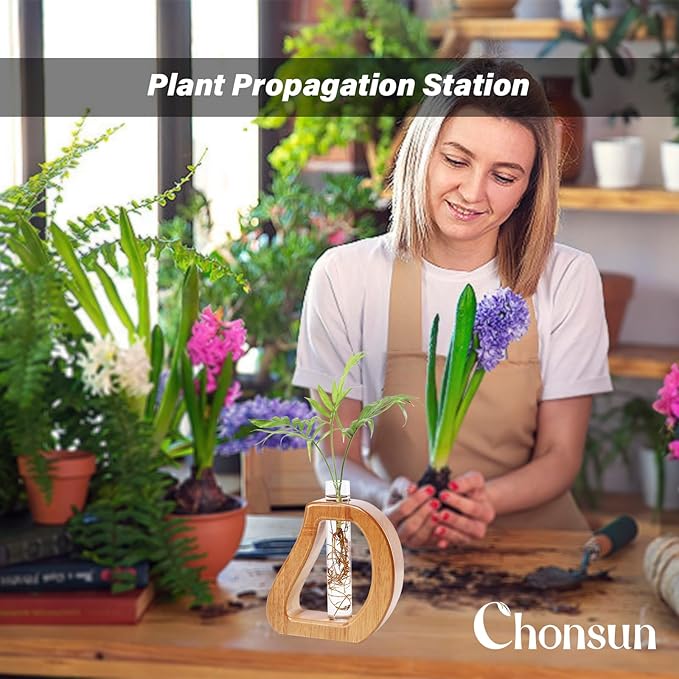Plant Propagation Stations Wall Hanging Terrariums Home Decor Plants Glass Test - Image 5