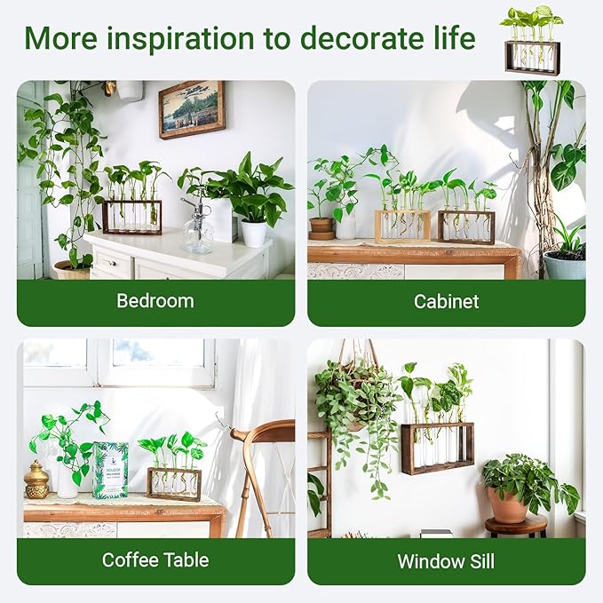 Ivolador Plant Propagation Station Terrariumin Wall Test Tube Vases Bud - Image 5