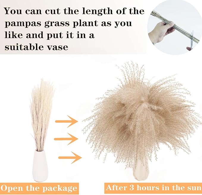 Dried Pampas Grass Decor, Reed Grass Bouquet - Image 4
