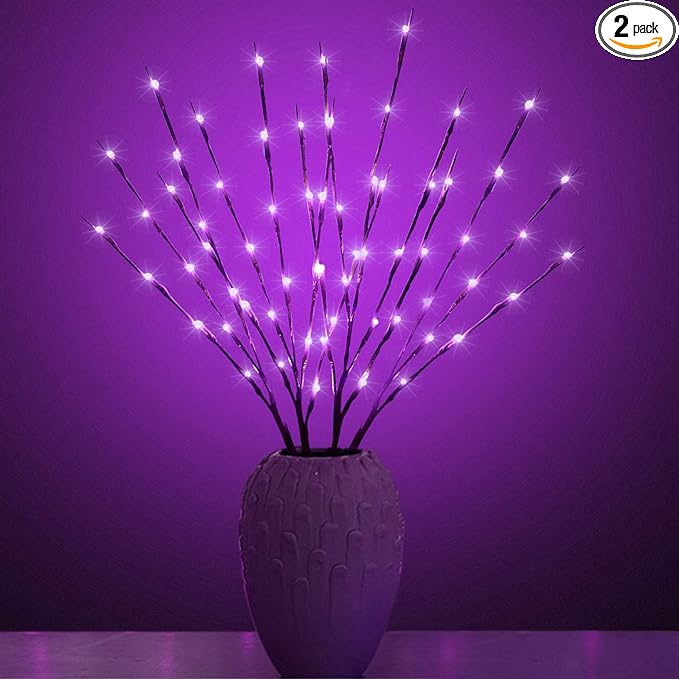 Led Branch Light Battery Operated Lighted Branches Vase Filler Willow Twig by XIANMU