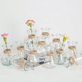 Glass Bud Vases for Centerpieces Set of 12 Clear Decorative Vase for Flowers by Unknown