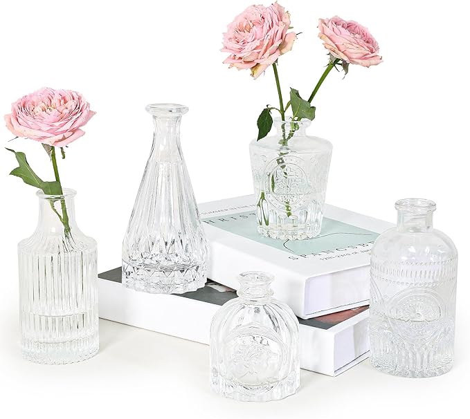 Glass Bud Vase Set of 5, Mini Vintage Vase by SUPMIND