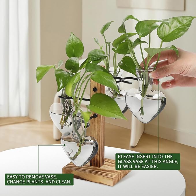 Plants Propagation Stations Plant Terrarium Kit Glass Planters - Image 3