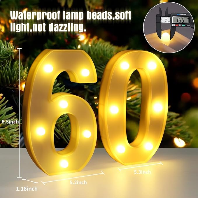 60th Birthday Decorations for Women Men, Happy 60 Birthday Decorations for - Image 2