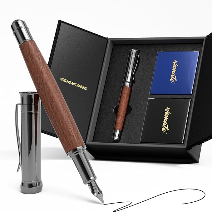 WEMATE Fountain Pen Set, Fine Nib, 20 Ink Cartridges, 1 Ink Converter, Smooth by WEMATE