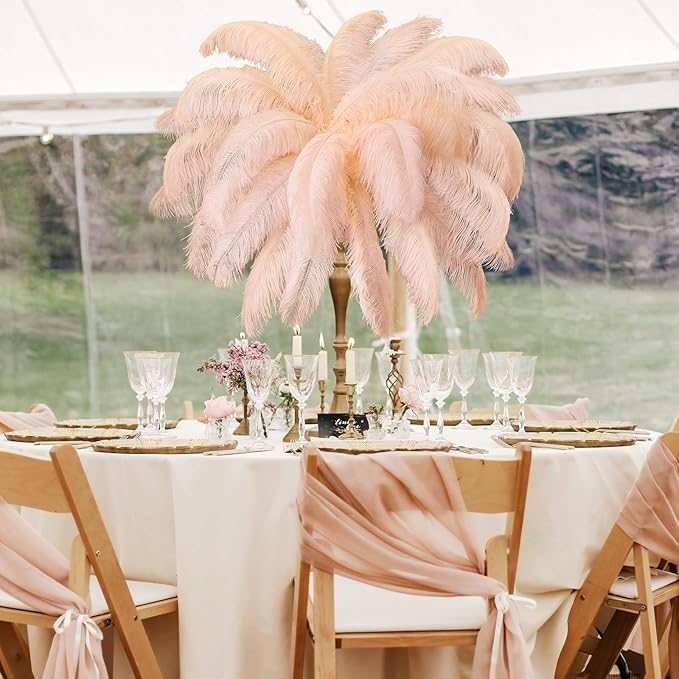 Retrowavy 30 Pcs 18-20 Inch Large Natural Ostrich Feathers Bulk - Image 7