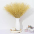 Gold Pampas Grass Decor 30 Pcs 21.7 Inch Faux Pampas Grass Bulk Artificial by Unknown
