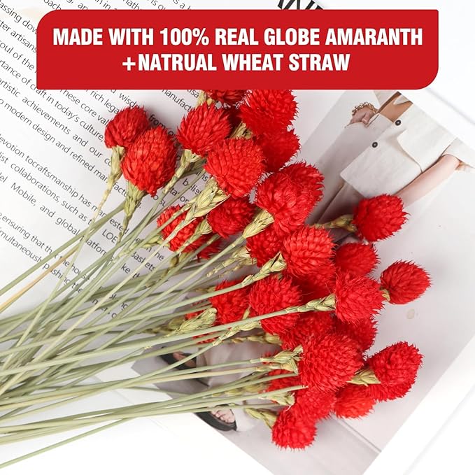 Dried Globe Amaranth Flower - Image 3