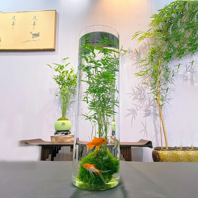 Extra Large Acrylic Cylinder Clear Vase - Image 2