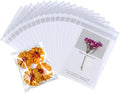 PigPotParty 5''x 7" Clear Plastic Cellophane Gift Wrap Bags, Party favor by PigPotParty