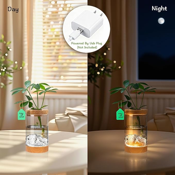 2Pcs Plant Propagation Station - Image 4