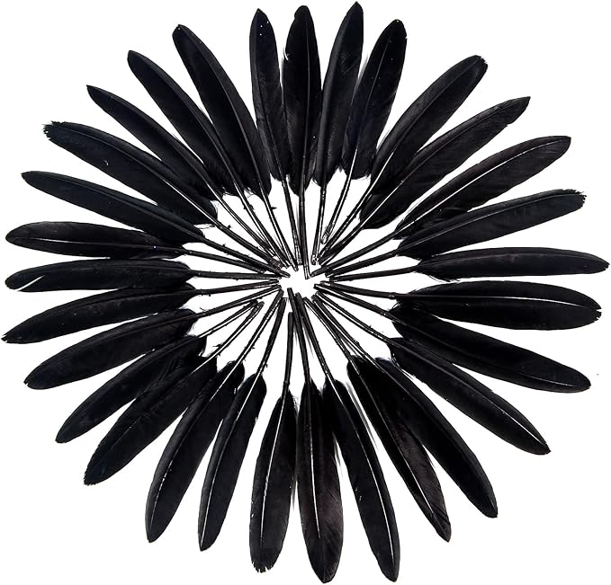FeelfunFeather 120pcs Black Goose Cochettes Feather Natural Bulk 4-6 inch - Image 3