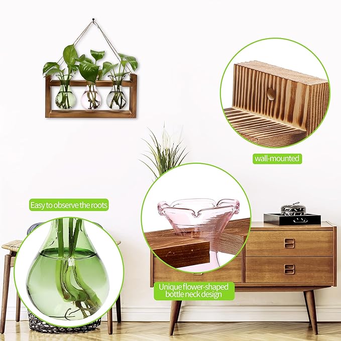 Plant Propagation Station Plant Terrarium Unique Birthday Gifts - Image 3