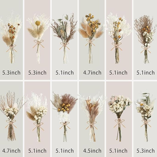 10/12/24/36 Pack Mini Dried Flowers - Image 2