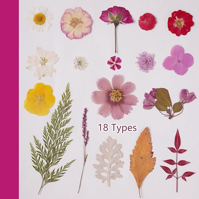 18Types 48PCS Real Dried Purple Pressed Flowers Leaf Plant Herbarium - Image 3
