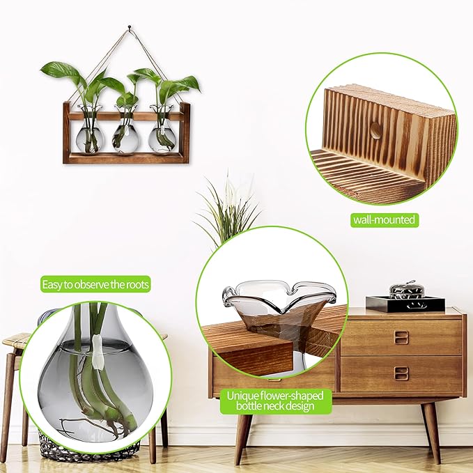 Plant Propagation Station Plant Terrarium Unique Birthday Gifts - Image 2
