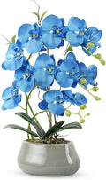 Orchid Artificial Flowers with Gray Vase Large Silk Faux Phalaenopsis Flowers by ABetterDayStartsHere