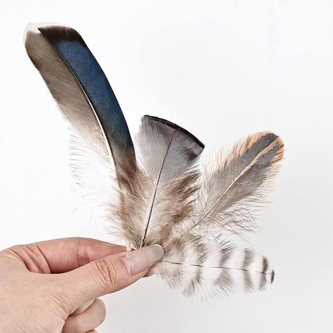 MAOFENG 120pcs 7 Styles Natural Bulk Feathers Assorted Mixed Feathers - Image 3