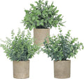 3 Pack Small Fake Plants, Artificial Eucalyptus, Boston Fern & Boxwood Leaves by Unknown