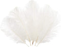 Sowder 6-8inch Ostrich Feathers Plume by Sowder