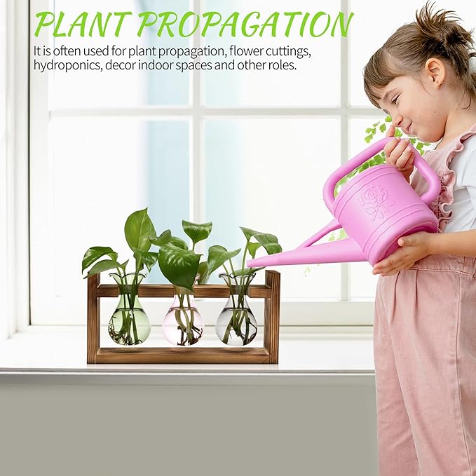 Plant Propagation Station Plant Terrarium Unique Birthday Gifts - Image 4