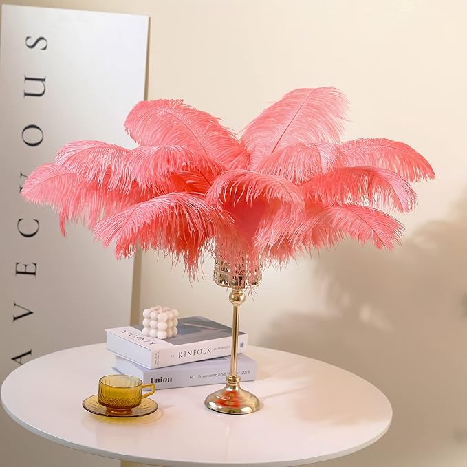 Larryhot Red Large Ostrich Feathers - Image 3