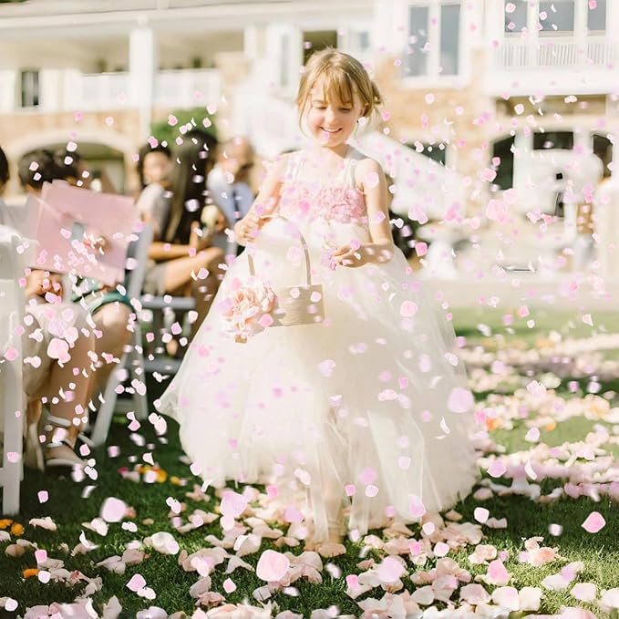1500Pcs Real Hydrangea Pink Dried Flower Petals - Image 5