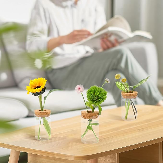 Propagation Stations, Plant Terrarium - Image 7