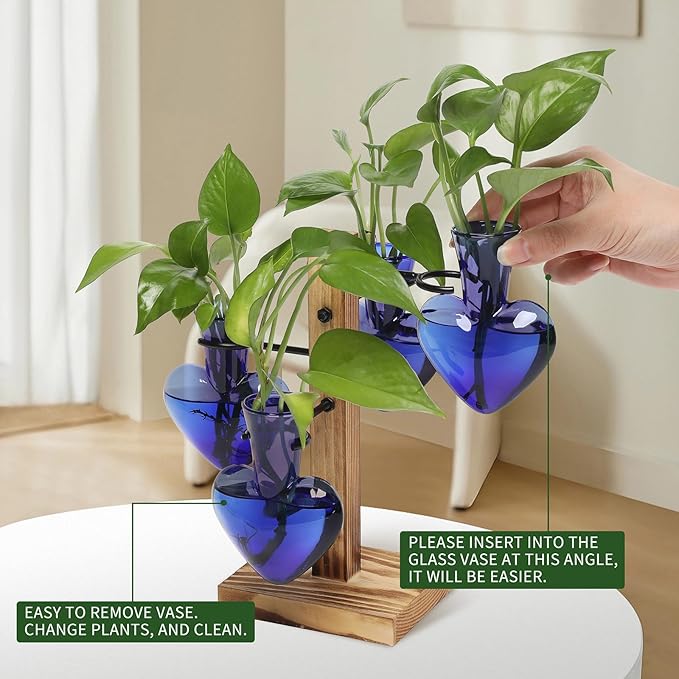 Plants Propagation Stations Plant Terrarium Kit Glass Planters - Image 3