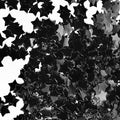 Star Confetti - 0.6 inch Round Black Foil, Shiny Black by CC+wonderland+zone