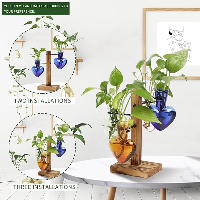 Plants Propagation Stations Plant Terrarium Kit Glass Planters - Image 5