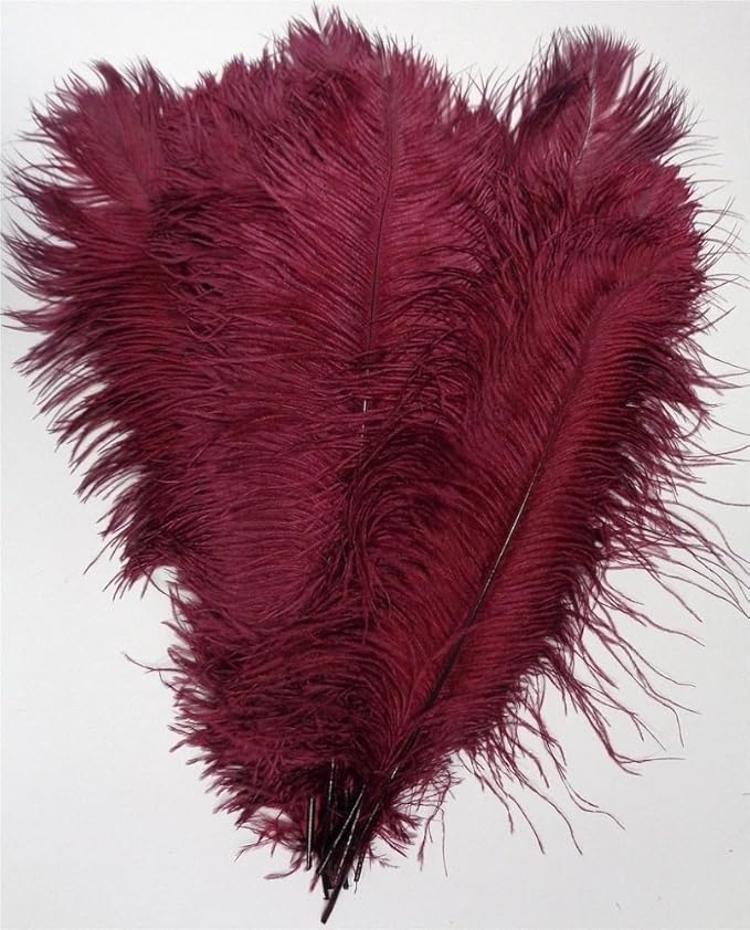 KOLIGHT 40pcs 12''~14'' Natural Ostrich Feathers - Image 3