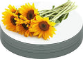 Round Mirror Centerpieces, Acrylic Circular Plates by Cunnikku